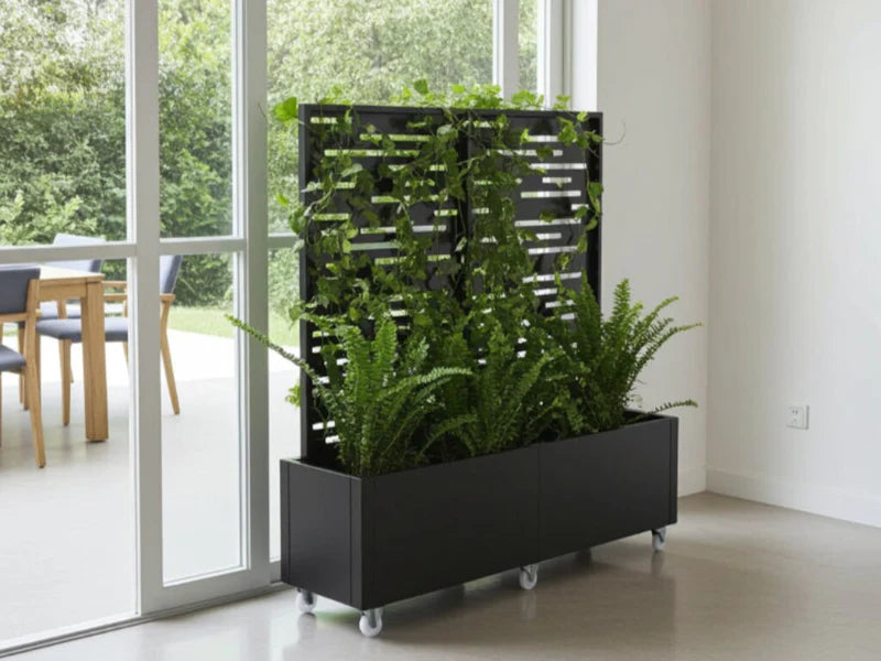 Blomlåda med spaljé i svart stål som grön rumsavdelare