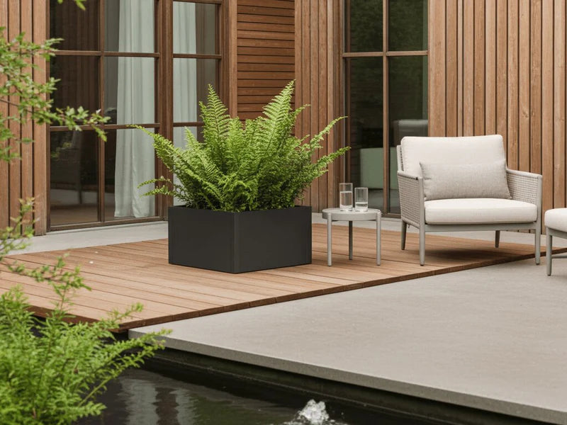 Blomlåda i svart stål med ormbunkar på modern terrass