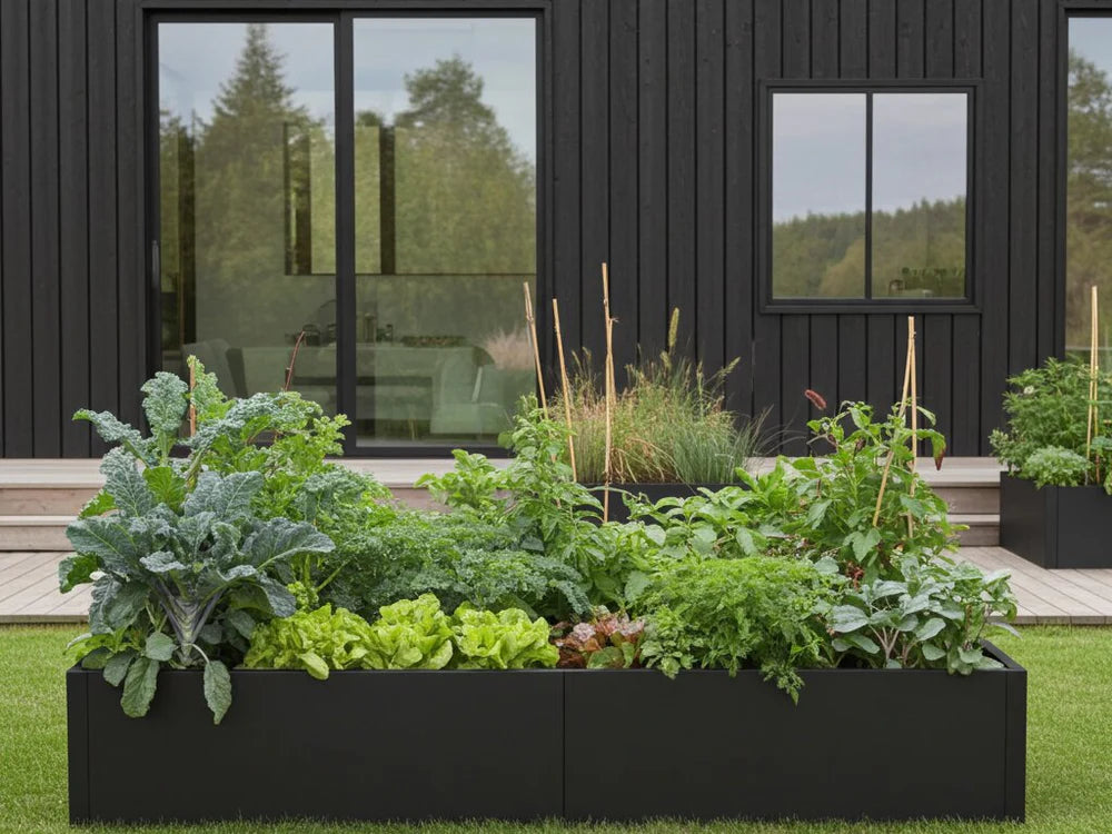 byJEMA CUBY högbädd i svartlackerat stål med grönsaker och örter i trädgård