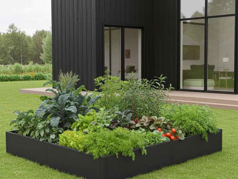byJEMA CUBY odlingslåda i svartlackerat stål med grönsaker i köksträdgård vid modernt hus