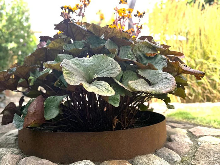 Rabattkant i cortenstål från byJEMA på specialmått till blomrabatt i trädgård