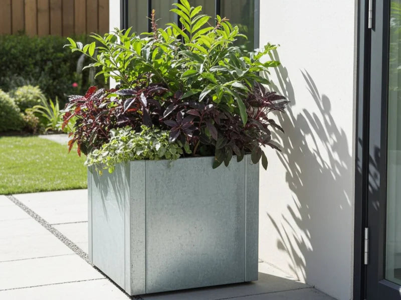 CUBY låg kvadratisk blomlåda i galvaniserat stål placerad vid entré med frodig plantering