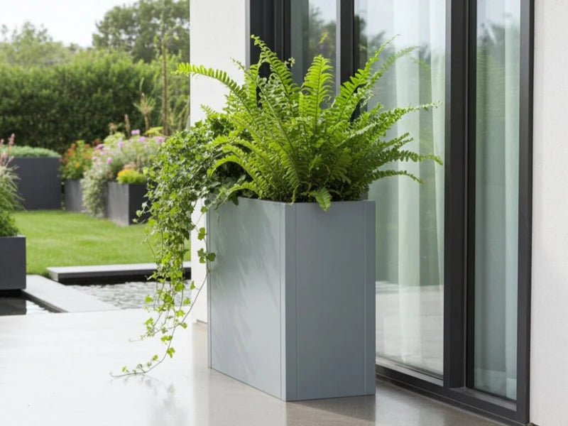 CUBY hög rektangulär blomlåda i galvaniserat stål med ormbunkar vid glasparti