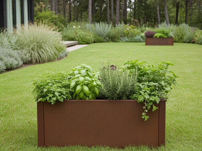 Rektangulär blomlåda i cortenstål från CUBY med kryddväxter på gräsmatta