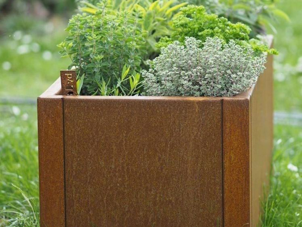 Närbild av blomlåda i cortenstål från CUBY med kryddväxter
