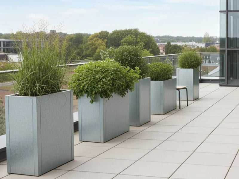 Höga blomlådor i galvaniserat stål från CUBY på takterrass