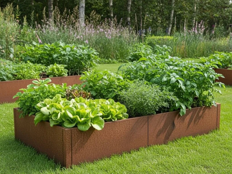 CUBY odlingslåda i cortenstål med sallad i köksträdgård