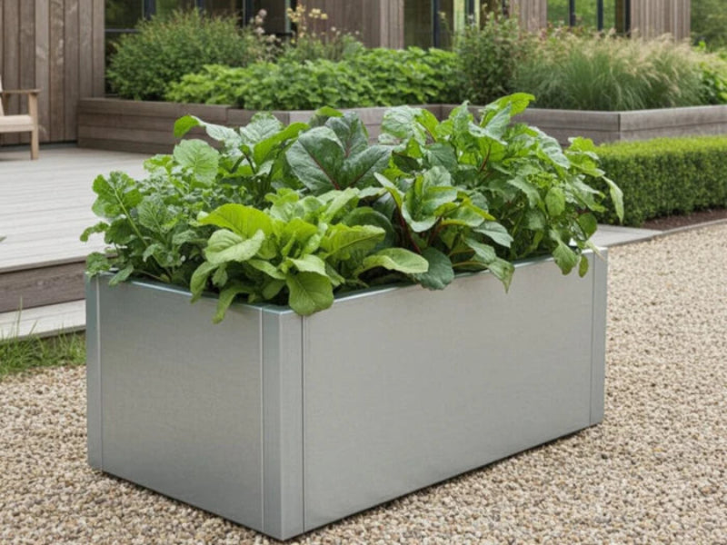 cuby-odlingslada-galvaniserat-stal-sallad