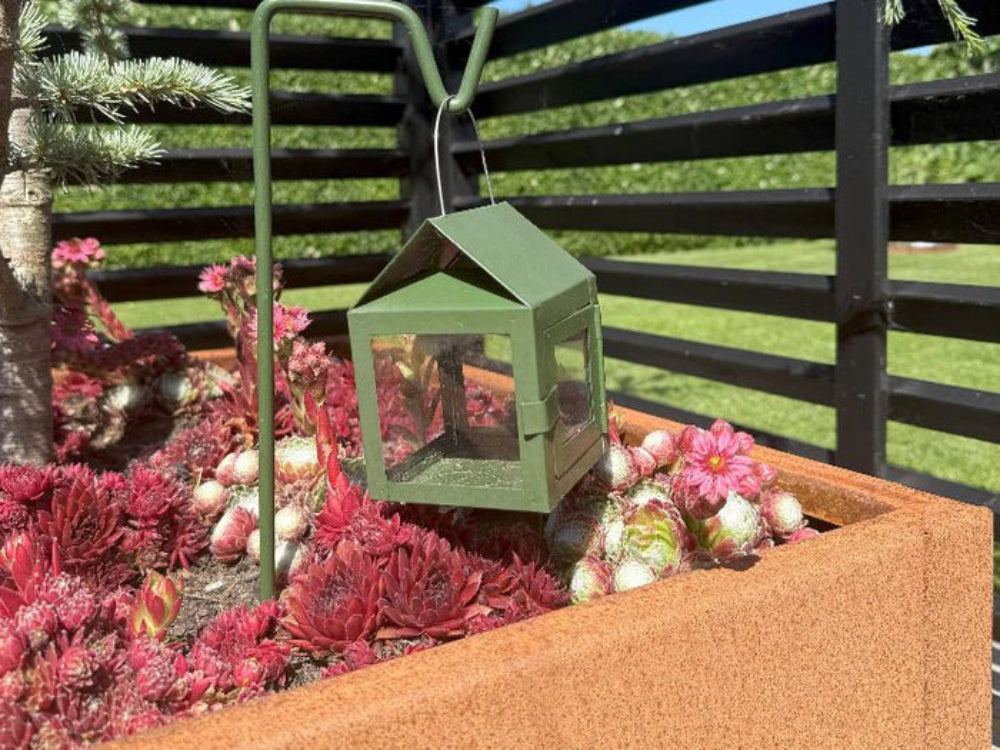 CUBY blomlåda i cortenstål med sedumplanter och dekorativ lykta