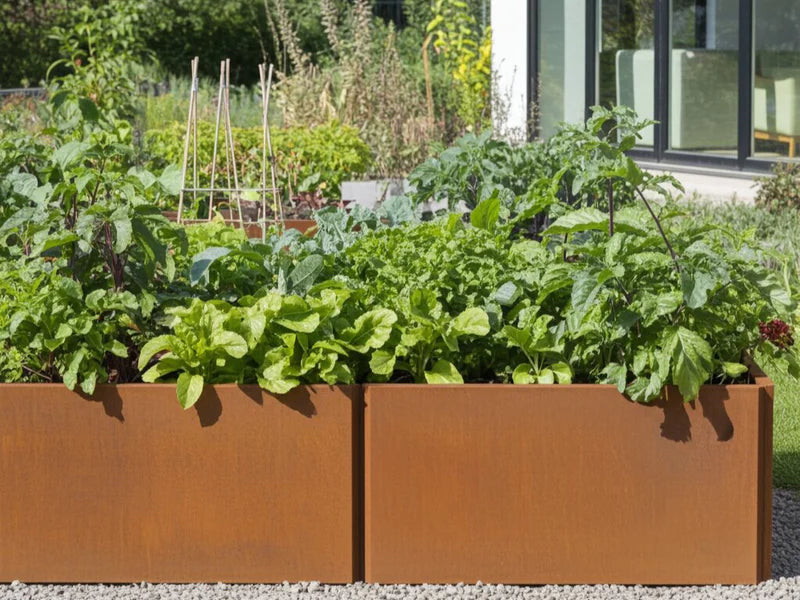 Lång EDGY blomlåda i cortenstål med sallad och grönsaker