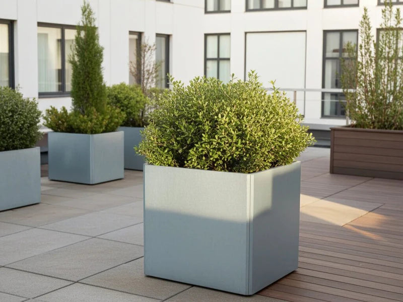 Galvaniserad EDGY blomlåda med busk i modern gårdsmiljö