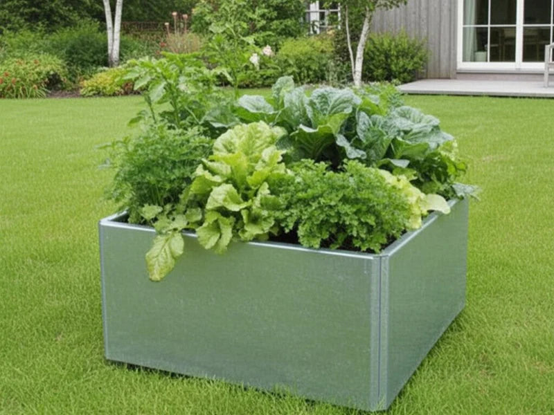 EDGY kvadratisk låg blomlåda i galvaniserat stål med grönsaker