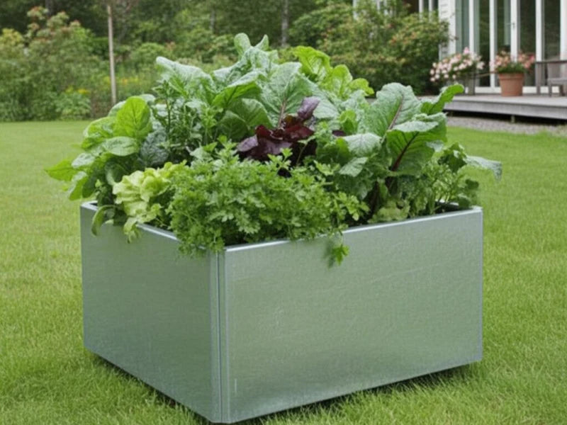 EDGY låg kvadratisk blomlåda i galvaniserat stål i trädgård