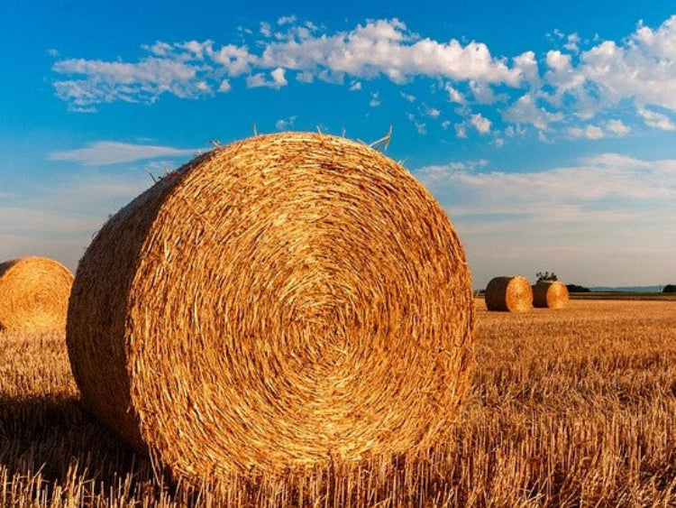 hay-bales-efteraar