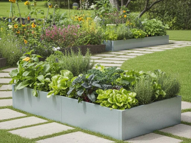 Odlingslåda i galvaniserat stål med grönsaker och örter längs trädgårdsgång