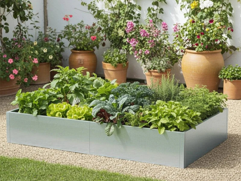 Odlingslåda i galvaniserat stål med grönsaker och örter i gårdsmiljö med blomkrukor