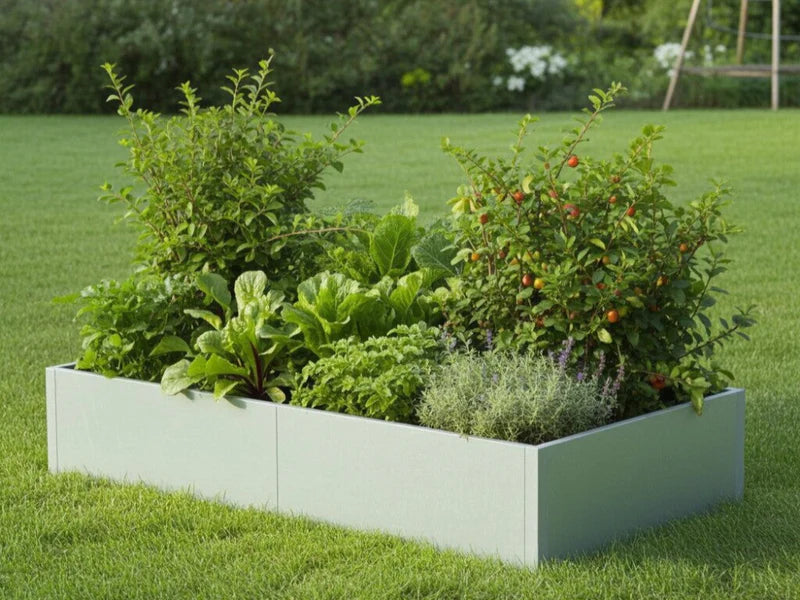 Odlingslåda i galvaniserat stål med växter och bärbuske i trädgård