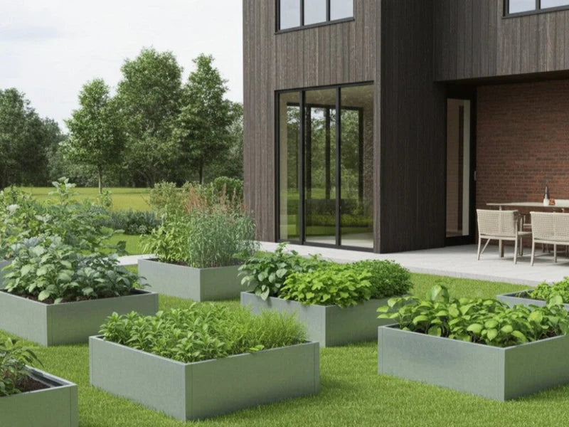 Odlingslåda i galvaniserat stål med växter i modern trädgård vid husfasad