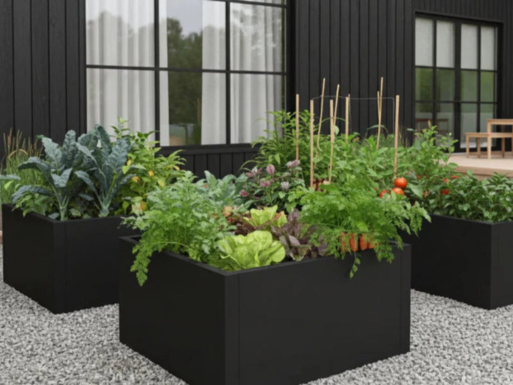 Odlingslåda i svart stål CUBY med kryddor och grönsaker i trädgård