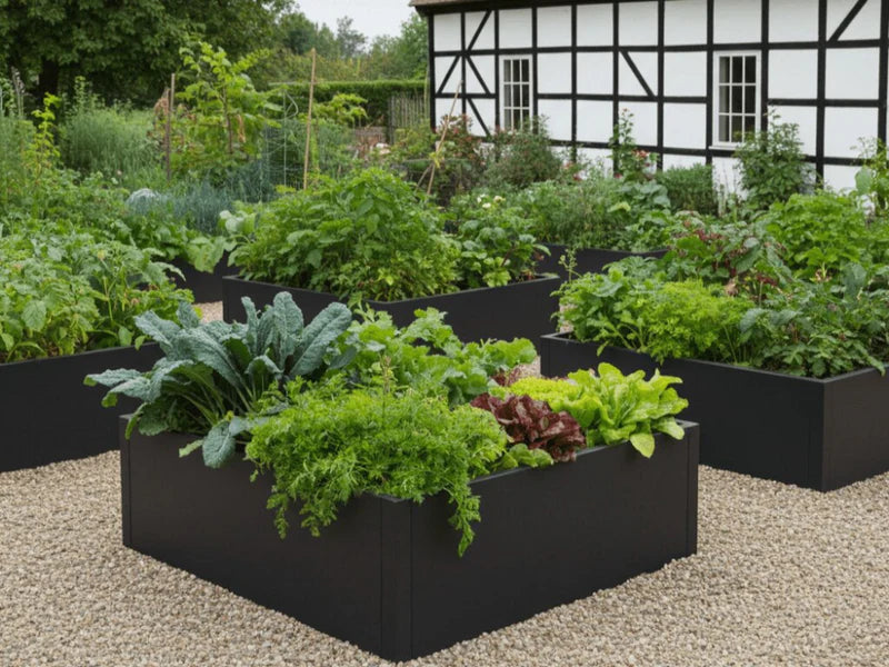 Odlingslådor i svart stål med grönsaker i köksträdgård vid hus