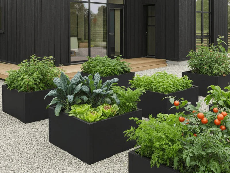 Odlingslådor i svart stål med grönsaker och örter i modern köksträdgård