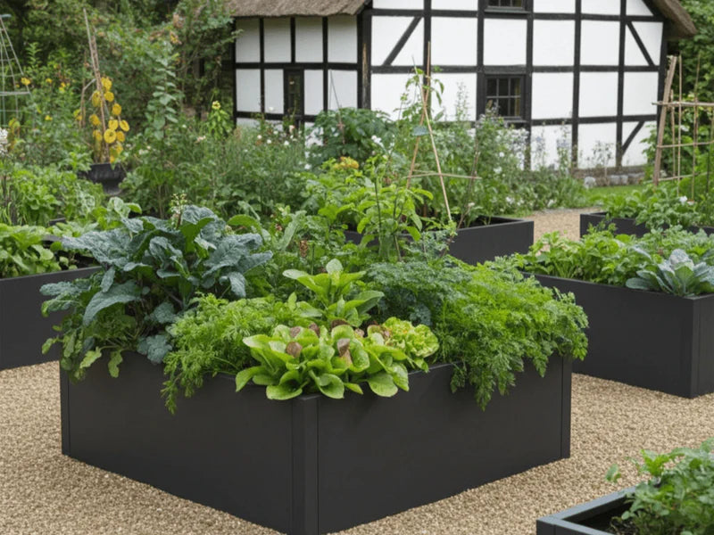 Flera odlingslådor i svart stål med grönsaker i trädgård