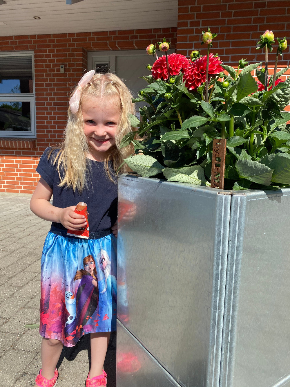 sommer-pige-edgy-galva