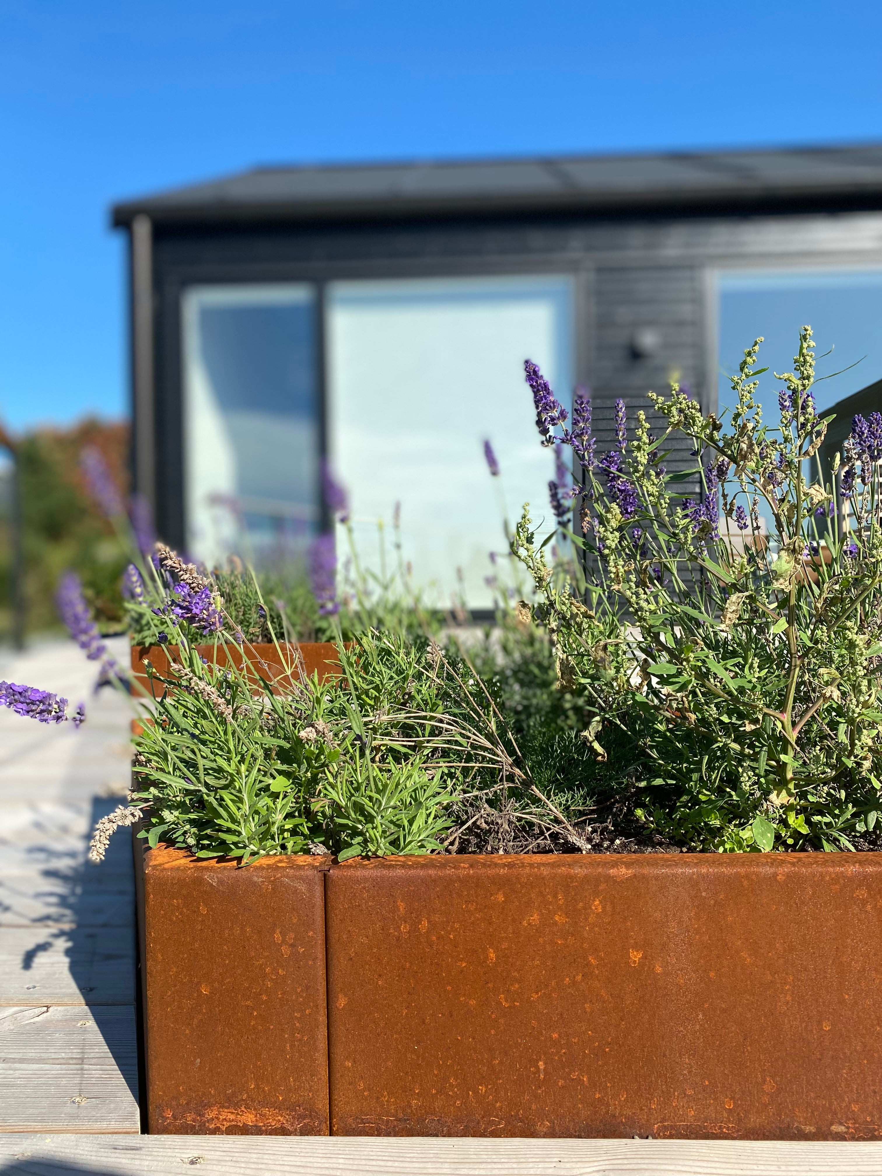 sommerhus-ebeltoft-special