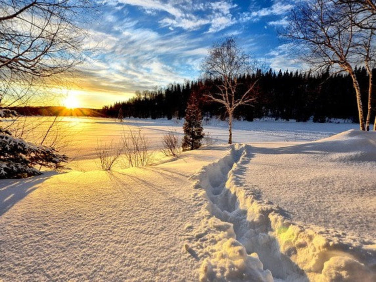 winter-landscape-vinter