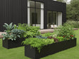 Blomlåda i svart stål med grönsaker och örter