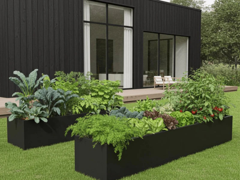 Blomlåda i svart stål med grönsaker och örter