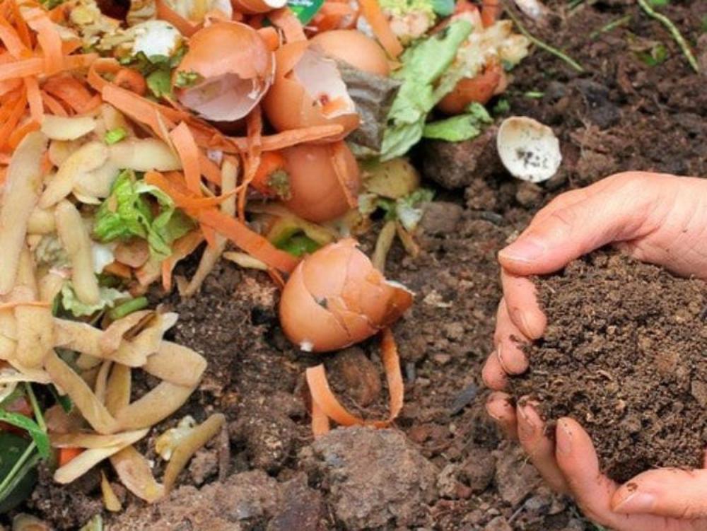 compost