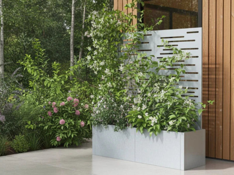 Blomlåda i galvaniserat stål från CUBY med spaljé och klätterväxter