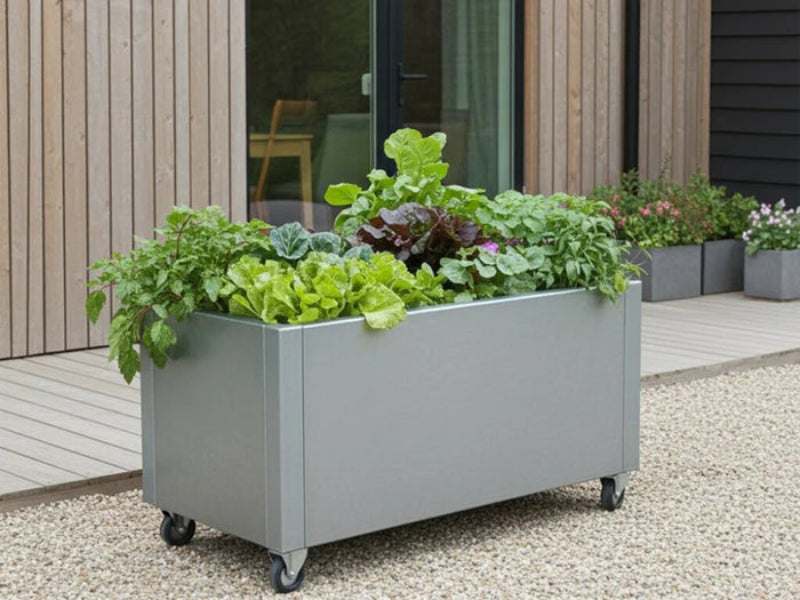 Flyttbar blomlåda i galvaniserat stål med hjul och grönsaker