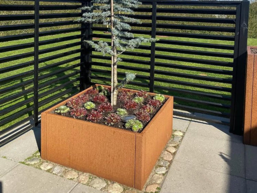 Blomlåda i cortenstål från CUBY med litet barrträd vid uteplats