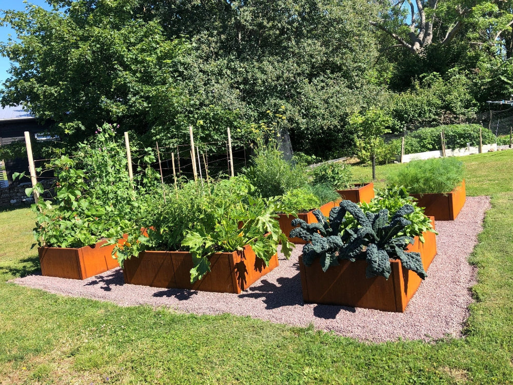 CUBY lång odlingslåda i cortenstål vid växthus