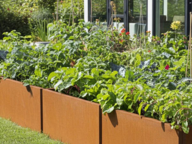 EDGY lång blomlåda i cortenstål med grönsaker i köksträdgård