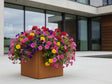 Låg blomlåda i cortenstål med blommor i modern trädgård