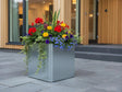 EDGY blomlåda i galvaniserat stål med färgglada blommor vid modern bostad
