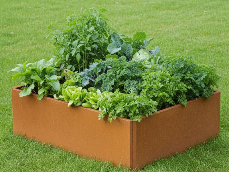 EDGY kvadratiskt högbed i cortenstål med tät plantering i trädgård