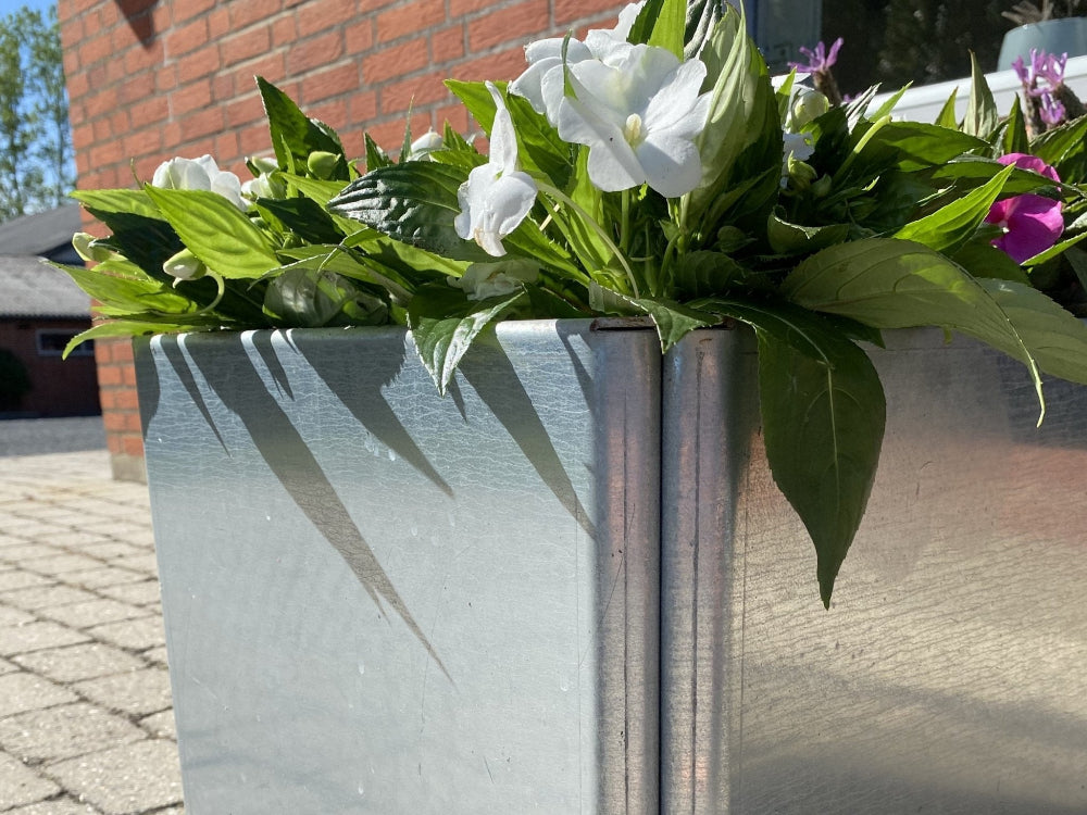 Detalj av EDGY odlingslåda i galvaniserat stål med vita blommor