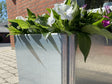Detalj av EDGY odlingslåda i galvaniserat stål med vita blommor