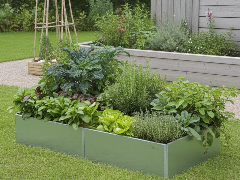 Galvaniserad EDGY odlingslåda med tät och organiserad plantering