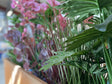 messe-blomster9_a45ca330-5103