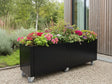 Mobil blomlåda i svart stål med sommarblommor på hjul