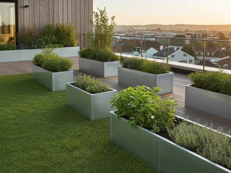 Odlingslådor i galvaniserat stål med växter på modern takterrass