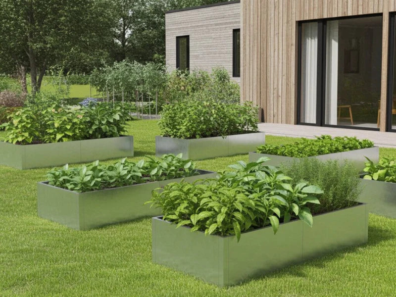 Odlingslådor i galvaniserat stål med örter och grönsaker i modern trädgård