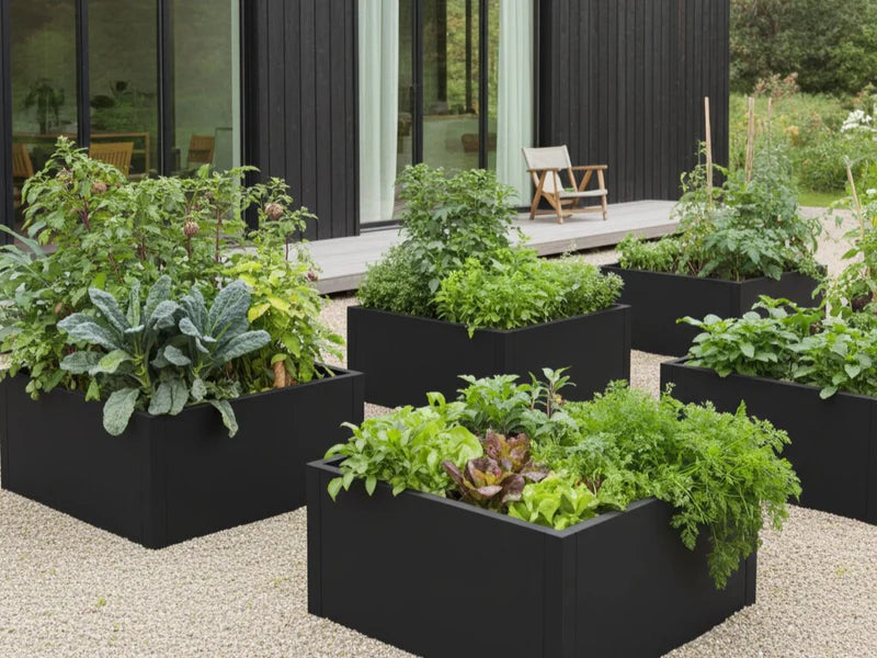 Odlingslådor i svart stål med olika grönsaker i trädgård