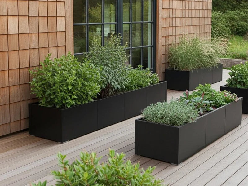 Svarta blomlådor i stål med kryddväxter och prydnadsgräs