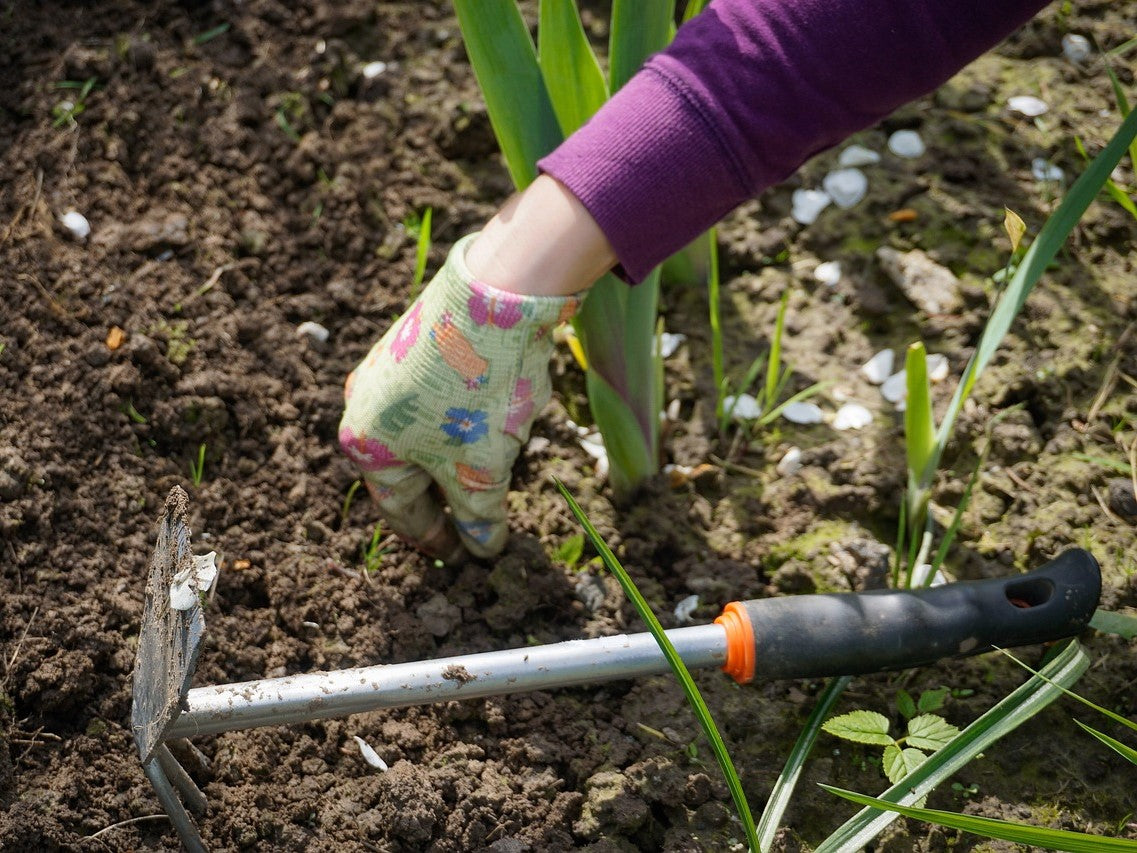 work-in-the-garden-2